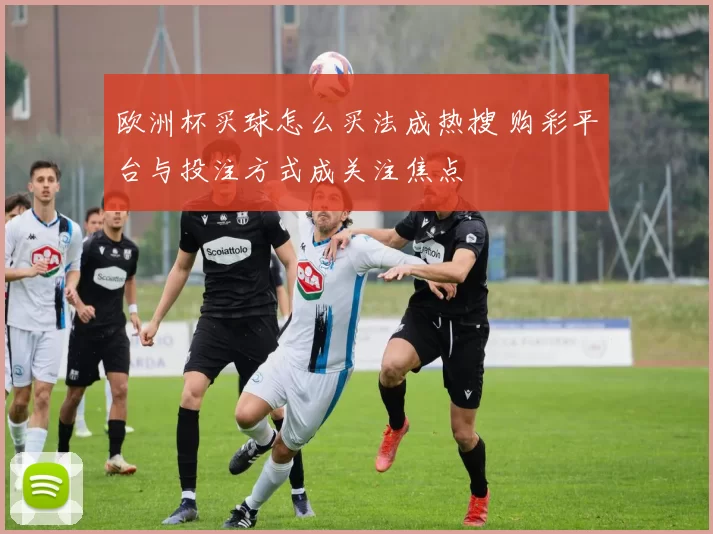 欧洲杯买球怎么买法成热搜 购彩平台与投注方式成关注焦点