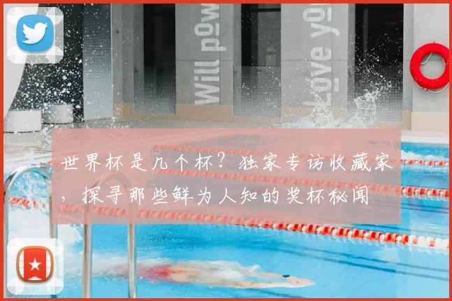 世界杯是几个杯?独家专访收藏家,探寻那些鲜为人知的奖杯秘闻