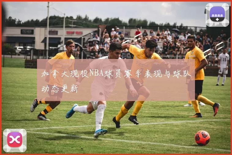 加拿大现役NBA球员赛季表现与球队动态更新