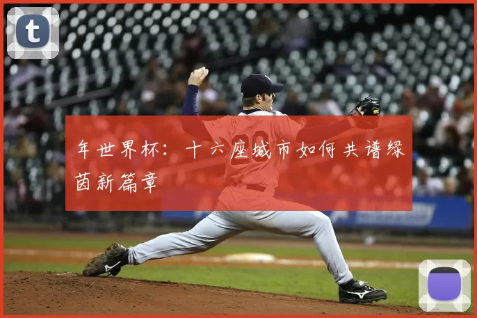 年世界杯:十六座城市如何共谱绿茵新篇章