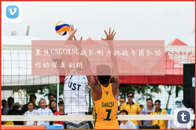 聚焦CSGORNG战队耐力挑战与团队协作的深度剖析