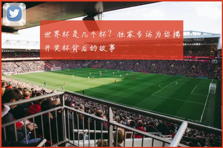 世界杯是几个杯？独家专访为你揭开奖杯背后的故事