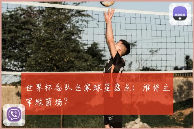 世界杯各队当家球星盘点:谁将主宰绿茵场?