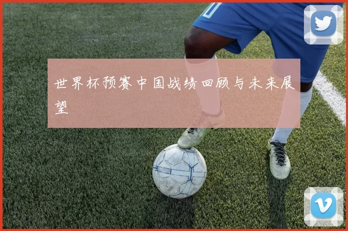 世界杯预赛中国战绩回顾与未来展望