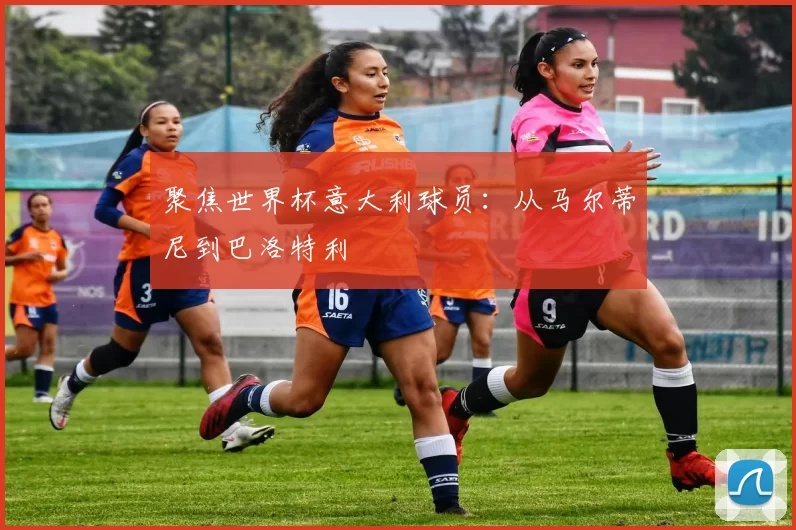 聚焦世界杯意大利球员:从马尔蒂尼到巴洛特利