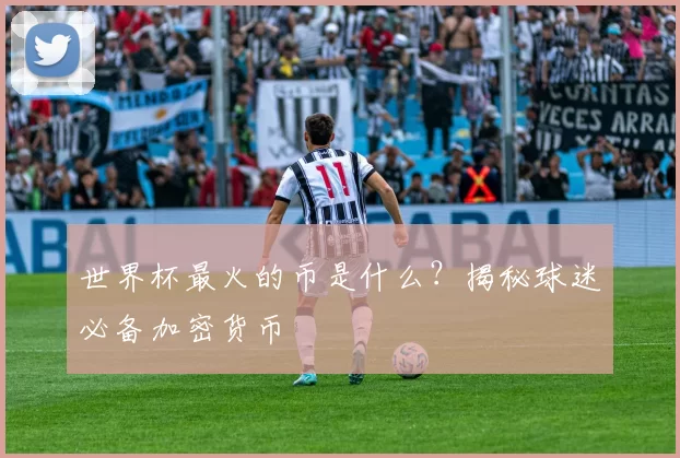 世界杯最火的币是什么?揭秘球迷必备加密货币
