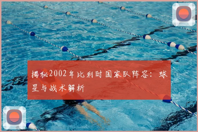 揭秘2002年比利时国家队阵容:球星与战术解析