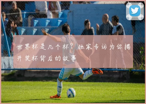 世界杯是几个杯?独家专访为你揭开奖杯背后的故事