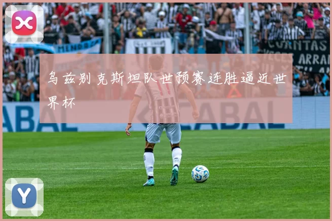 乌兹别克斯坦队世预赛连胜逼近世界杯