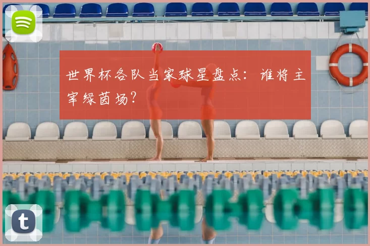 世界杯各队当家球星盘点:谁将主宰绿茵场?