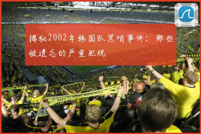 揭秘2002年韩国队黑哨事件:那些被遗忘的严重犯规