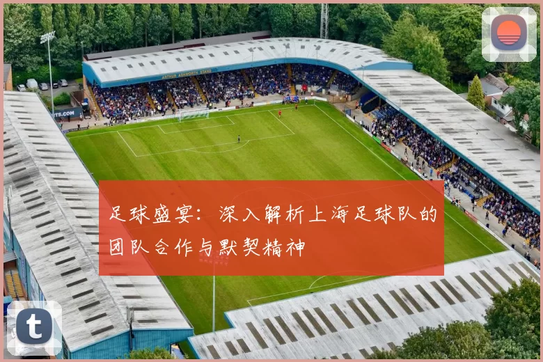足球盛宴：深入解析上海足球队的团队合作与默契精神