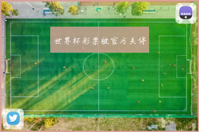 世界杯彩票被官方关停