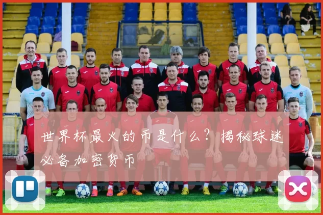 世界杯最火的币是什么？揭秘球迷必备加密货币