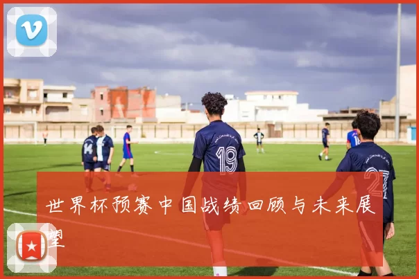 世界杯预赛中国战绩回顾与未来展望